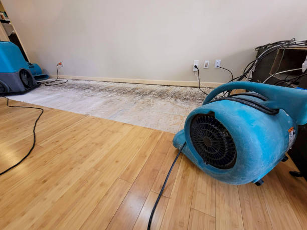 Professional Sewage Cleanup technician working in Santa Ynez, CA